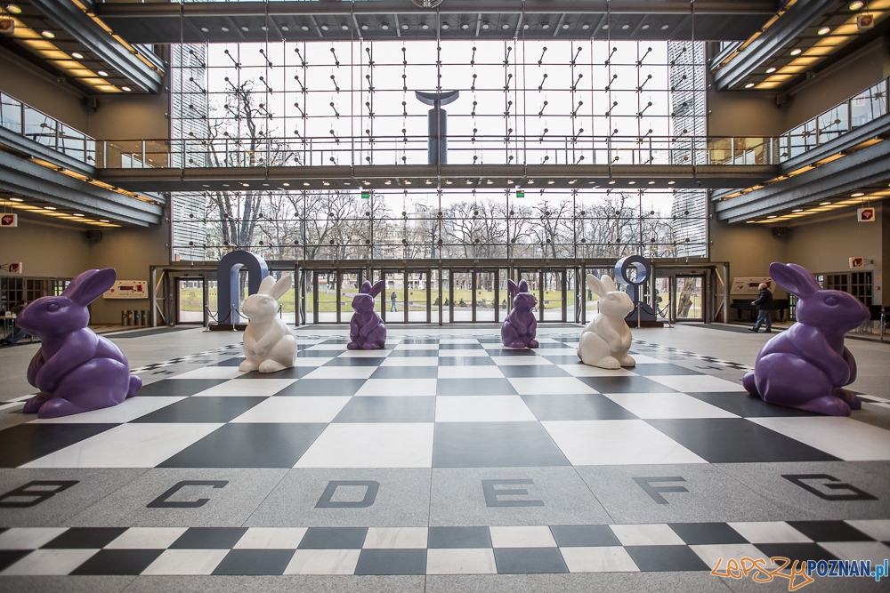 Wielkanoc 2016 w Starym Browarze, fot. J. Wittchen - 2 Foto: Jakub Wittchen Wielkanoc 2016 w Starym Browarze, fot. J. Wittchen - 2 Foto: Jakub Wittchen