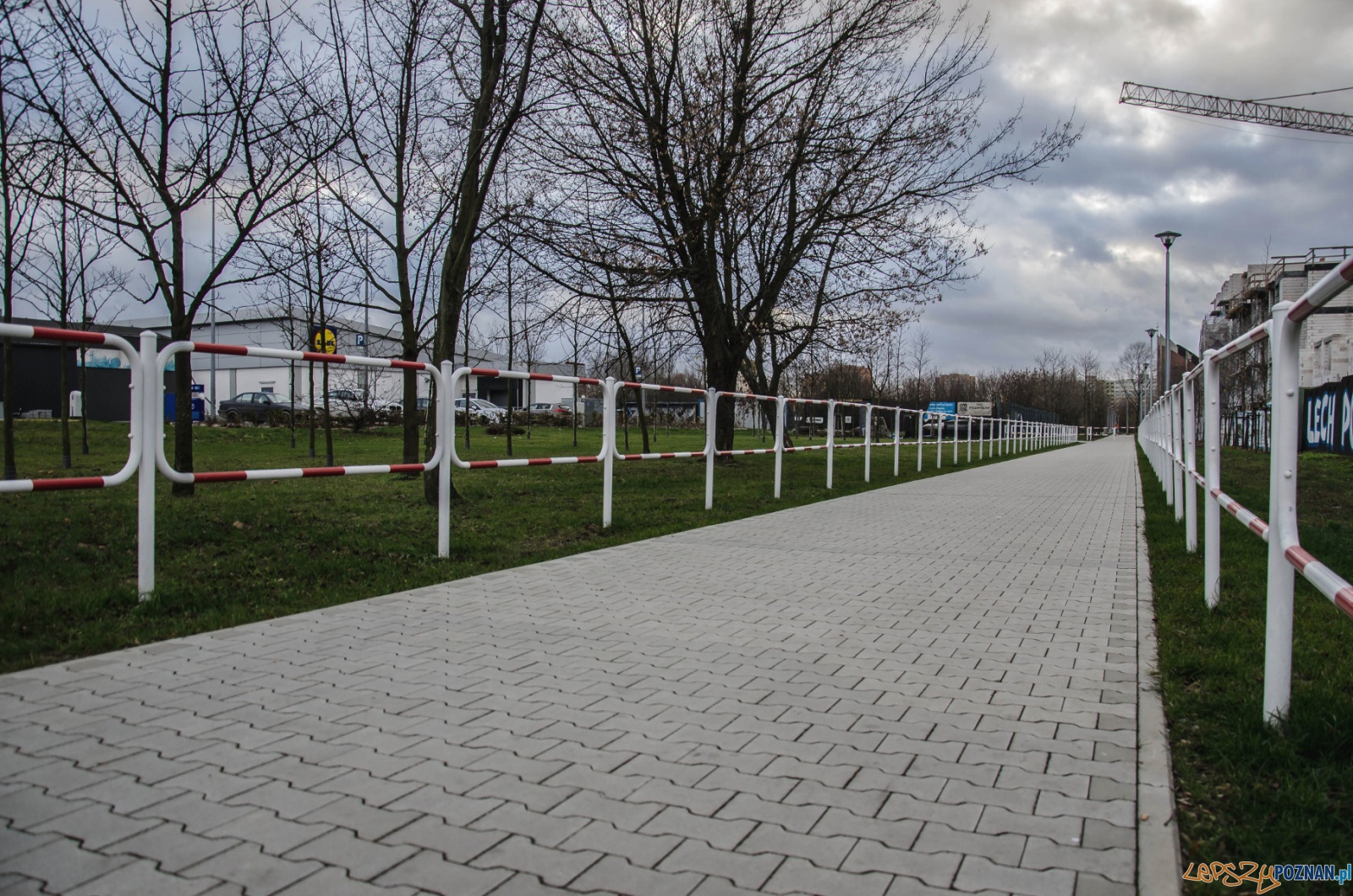 Rowelove Rataje - ścieżka Foto: Poznańskie Inwestycje Miejskie Rowelove Rataje - ścieżka Foto: Poznańskie Inwestycje Miejskie