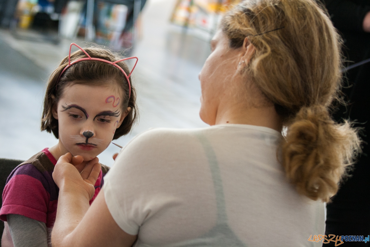 Wystawa kotów rasowych (20.02.2016) MTP Foto: © lepszyPOZNAN.pl / Karolina Kiraga Wystawa kotów rasowych (20.02.2016) MTP Foto: © lepszyPOZNAN.pl / Karolina Kiraga