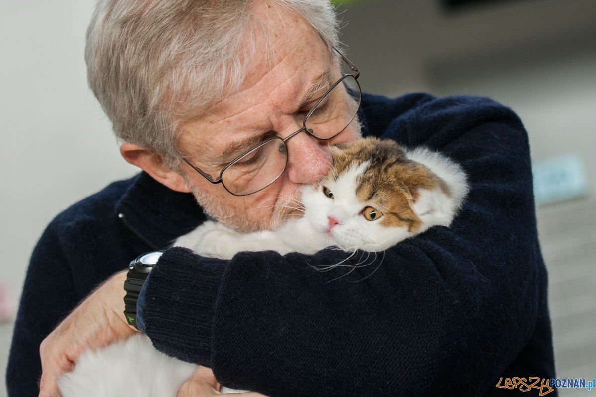 Wystawa kotów rasowych (20.02.2016) MTP Foto: © lepszyPOZNAN.pl / Karolina Kiraga Wystawa kotów rasowych (20.02.2016) MTP Foto: © lepszyPOZNAN.pl / Karolina Kiraga