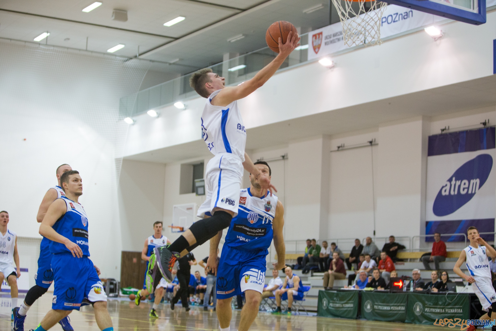 1 Liga Mężczyzn: Biofarm Basket Poznań - Meritumkredyt Pogoń Foto: lepszyPOZNAN.pl / Piotr Rychter 1 Liga Mężczyzn: Biofarm Basket Poznań - Meritumkredyt Pogoń Foto: lepszyPOZNAN.pl / Piotr Rychter