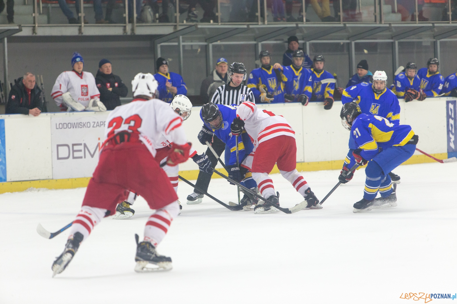 Międzynarodowy turniej hokeja na lodzie U18 (Polska - Ukraina) Foto: lepszyPOZNAN.pl / Piotr Rychter Międzynarodowy turniej hokeja na lodzie U18 (Polska - Ukraina) Foto: lepszyPOZNAN.pl / Piotr Rychter