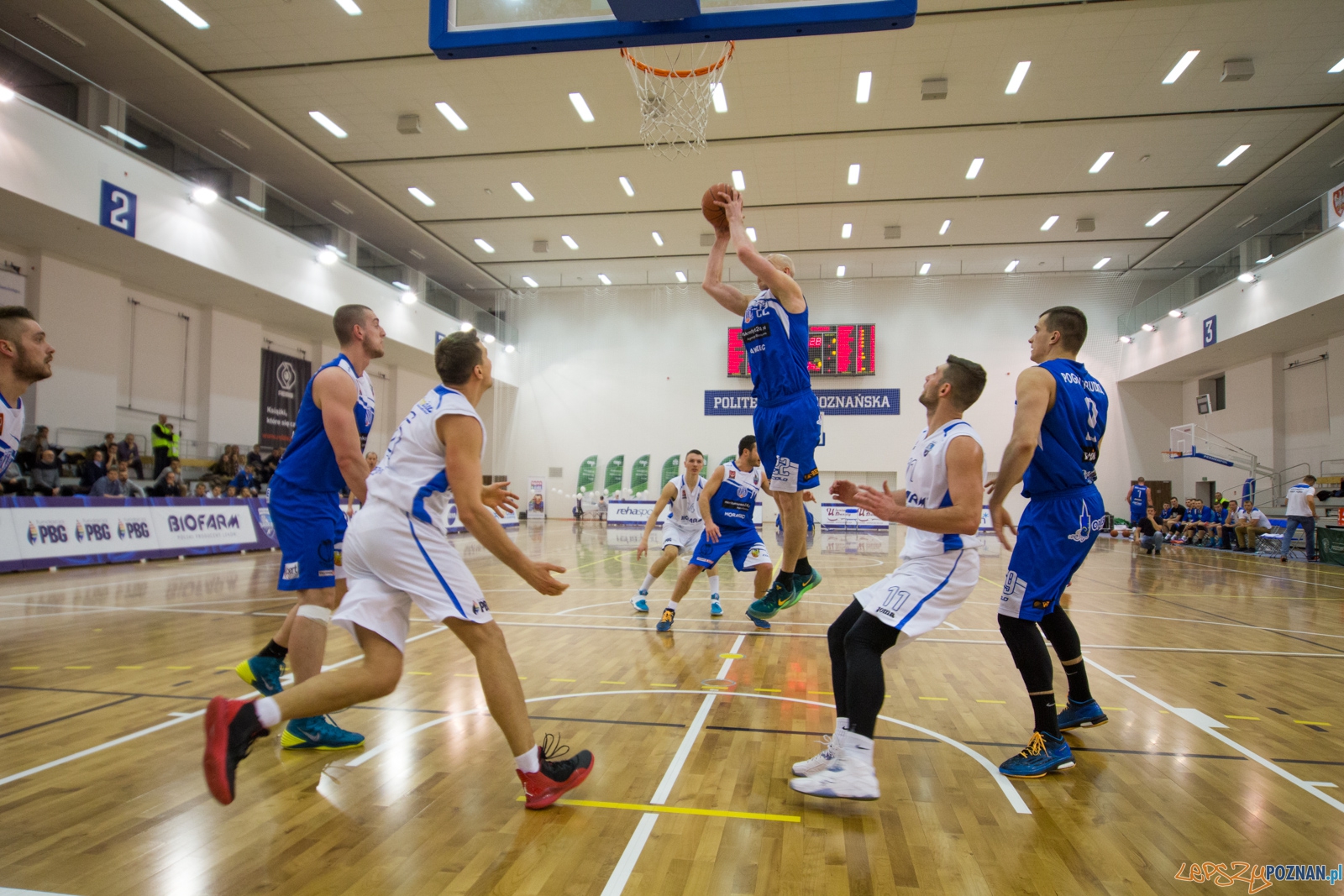 1 Liga Mężczyzn: Biofarm Basket Poznań - Meritumkredyt Pogoń Foto: lepszyPOZNAN.pl / Piotr Rychter 1 Liga Mężczyzn: Biofarm Basket Poznań - Meritumkredyt Pogoń Foto: lepszyPOZNAN.pl / Piotr Rychter