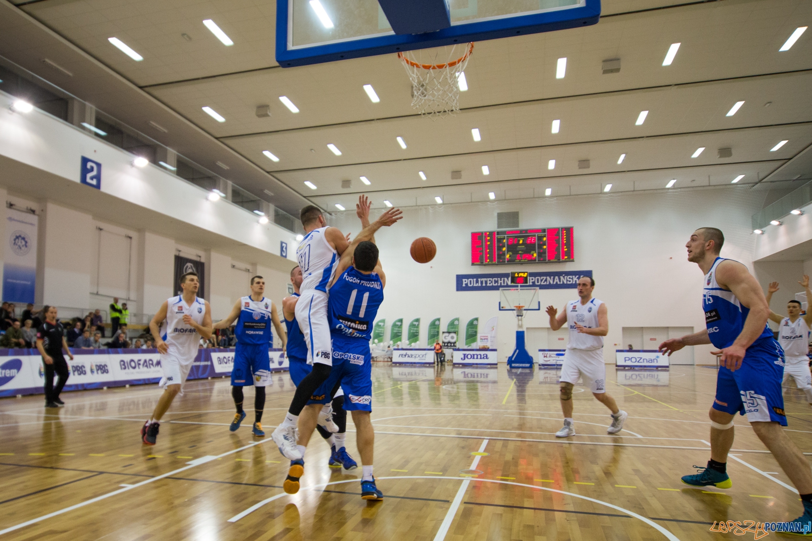 1 Liga Mężczyzn: Biofarm Basket Poznań - Meritumkredyt Pogoń Foto: lepszyPOZNAN.pl / Piotr Rychter 1 Liga Mężczyzn: Biofarm Basket Poznań - Meritumkredyt Pogoń Foto: lepszyPOZNAN.pl / Piotr Rychter