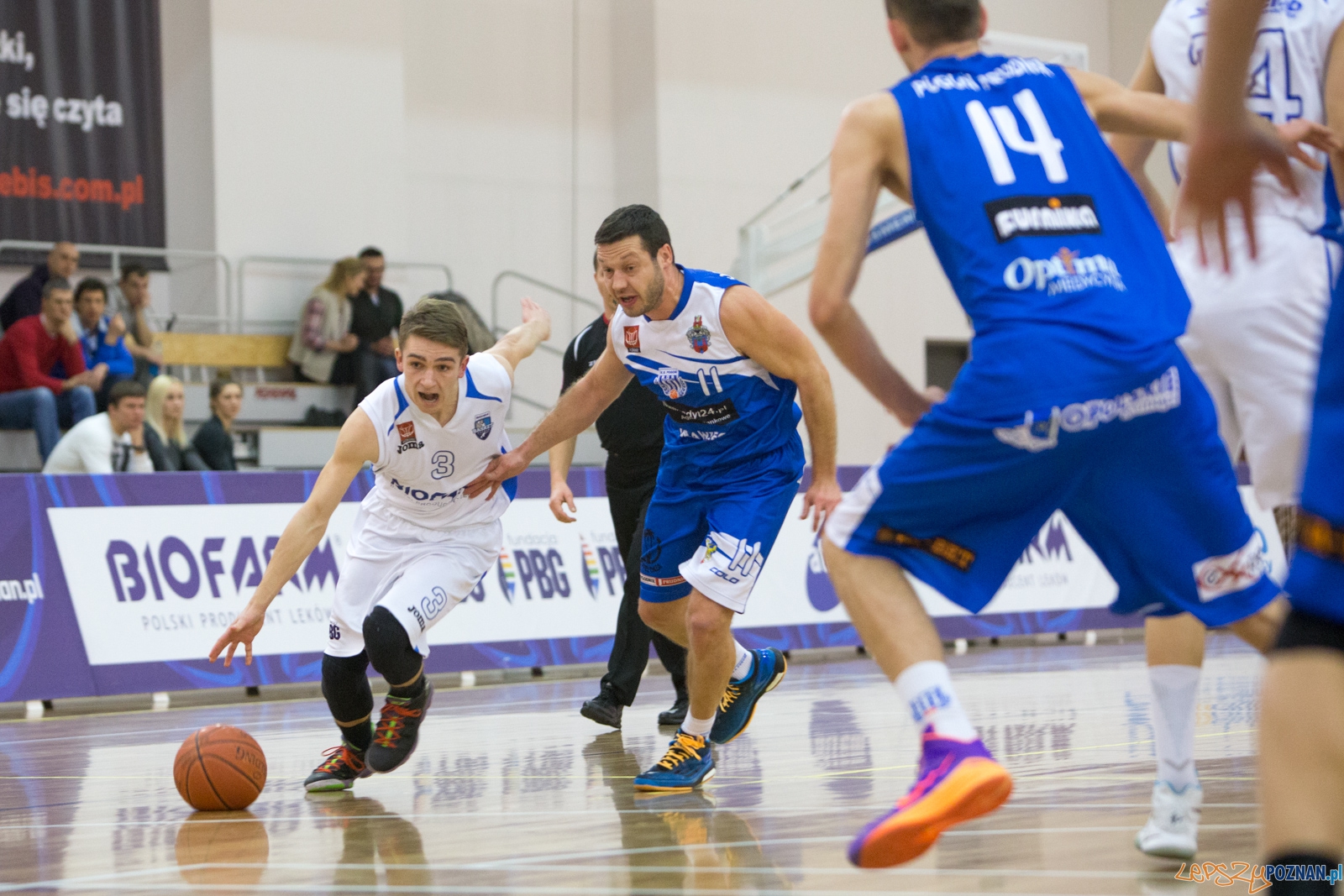 1 Liga Mężczyzn: Biofarm Basket Poznań - Meritumkredyt Pogoń Foto: lepszyPOZNAN.pl / Piotr Rychter 1 Liga Mężczyzn: Biofarm Basket Poznań - Meritumkredyt Pogoń Foto: lepszyPOZNAN.pl / Piotr Rychter