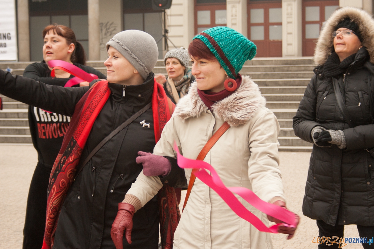 Nazywam się miliard / One billion rising (14.02.2016) Plac Woln Foto: © lepszyPOZNAN.pl / Karolina Kiraga Nazywam się miliard / One billion rising (14.02.2016) Plac Woln Foto: © lepszyPOZNAN.pl / Karolina Kiraga