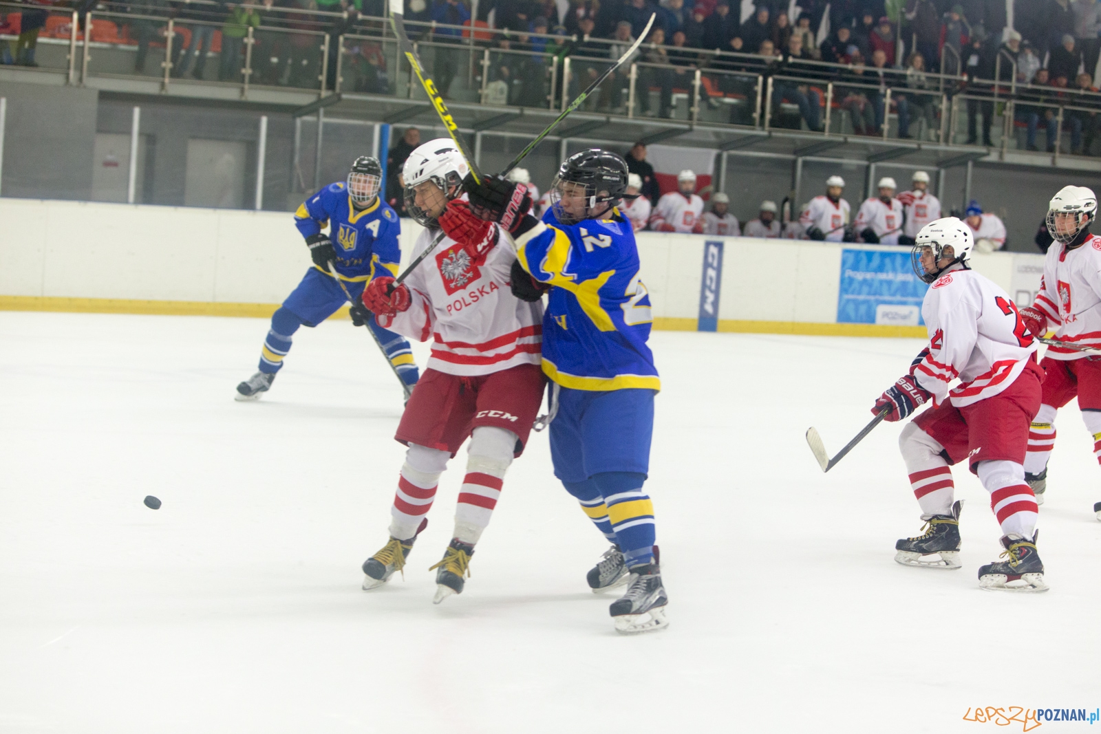 Międzynarodowy turniej hokeja na lodzie U18 (Polska - Ukraina) Foto: lepszyPOZNAN.pl / Piotr Rychter Międzynarodowy turniej hokeja na lodzie U18 (Polska - Ukraina) Foto: lepszyPOZNAN.pl / Piotr Rychter