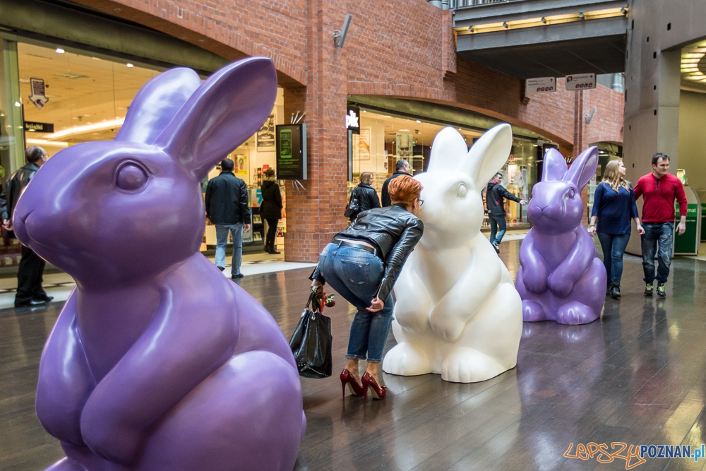 Wielkanoc 2016 w Starym Browarze, fot. J. Wittchen - 3 Foto: Jakub Wittchen Wielkanoc 2016 w Starym Browarze, fot. J. Wittchen - 3 Foto: Jakub Wittchen