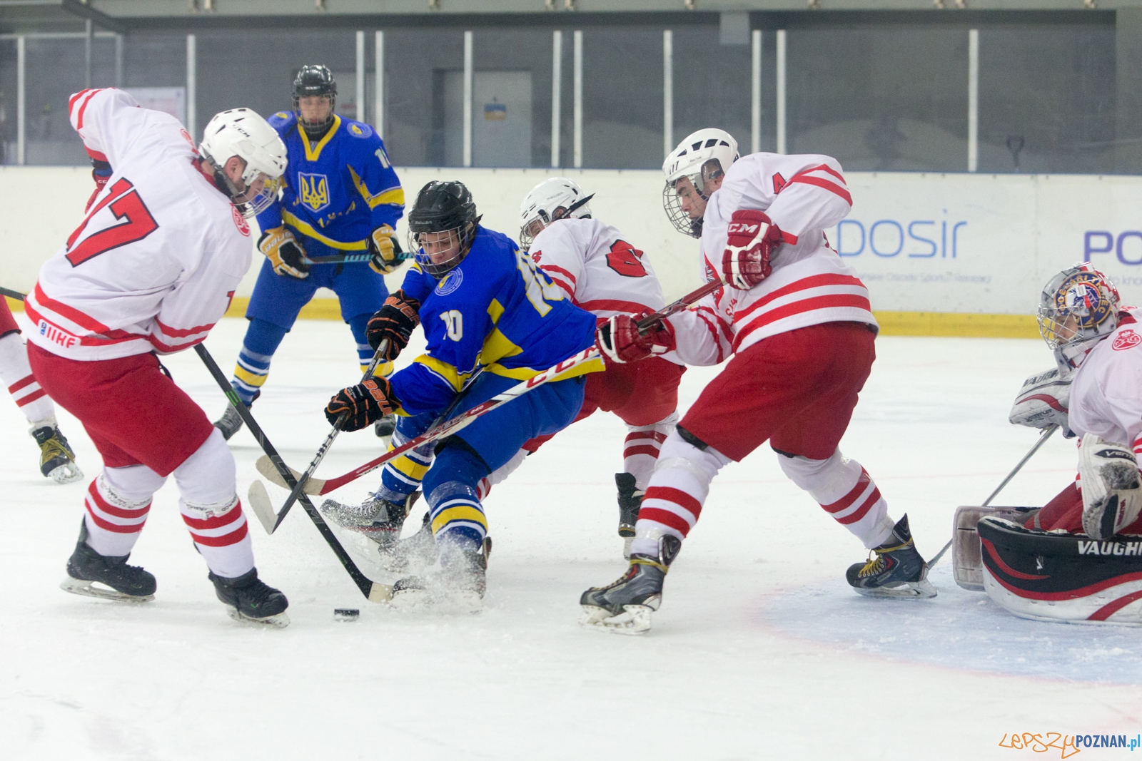 Międzynarodowy turniej hokeja na lodzie U18 (Polska - Ukraina) Foto: lepszyPOZNAN.pl / Piotr Rychter Międzynarodowy turniej hokeja na lodzie U18 (Polska - Ukraina) Foto: lepszyPOZNAN.pl / Piotr Rychter