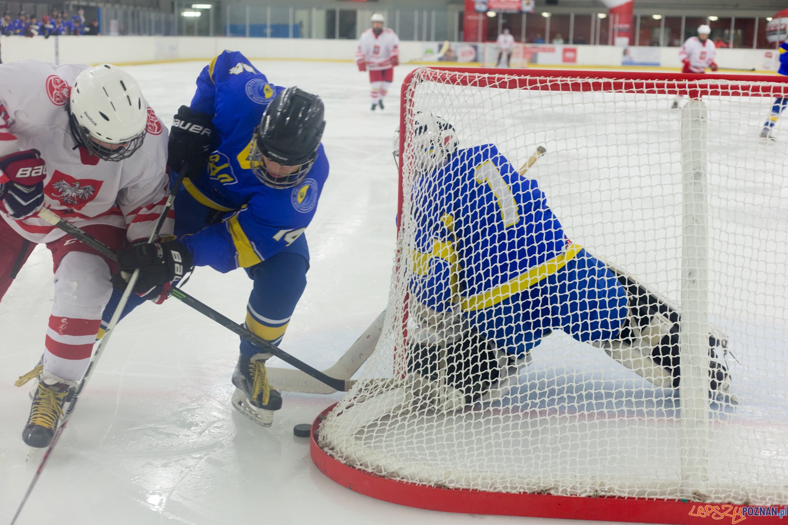 Międzynarodowy turniej hokeja na lodzie U18 (Polska - Ukraina) Foto: lepszyPOZNAN.pl / Piotr Rychter Międzynarodowy turniej hokeja na lodzie U18 (Polska - Ukraina) Foto: lepszyPOZNAN.pl / Piotr Rychter