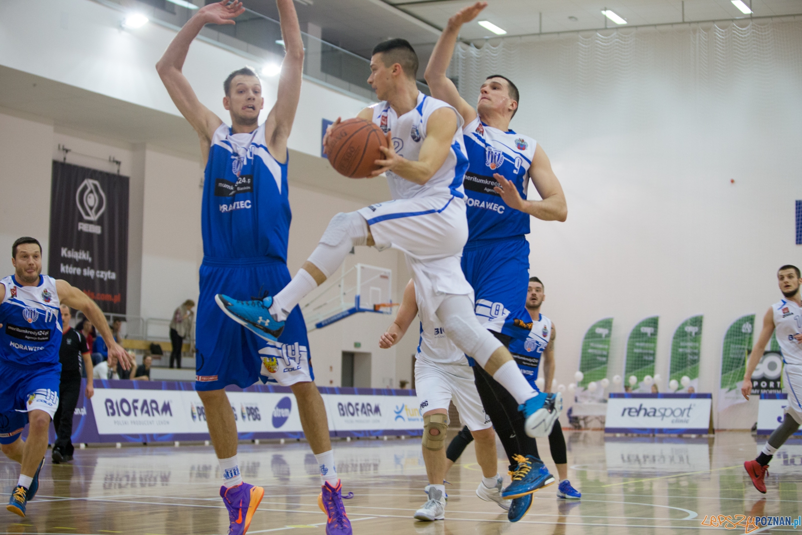 1 Liga Mężczyzn: Biofarm Basket Poznań - Meritumkredyt Pogoń Foto: lepszyPOZNAN.pl / Piotr Rychter 1 Liga Mężczyzn: Biofarm Basket Poznań - Meritumkredyt Pogoń Foto: lepszyPOZNAN.pl / Piotr Rychter