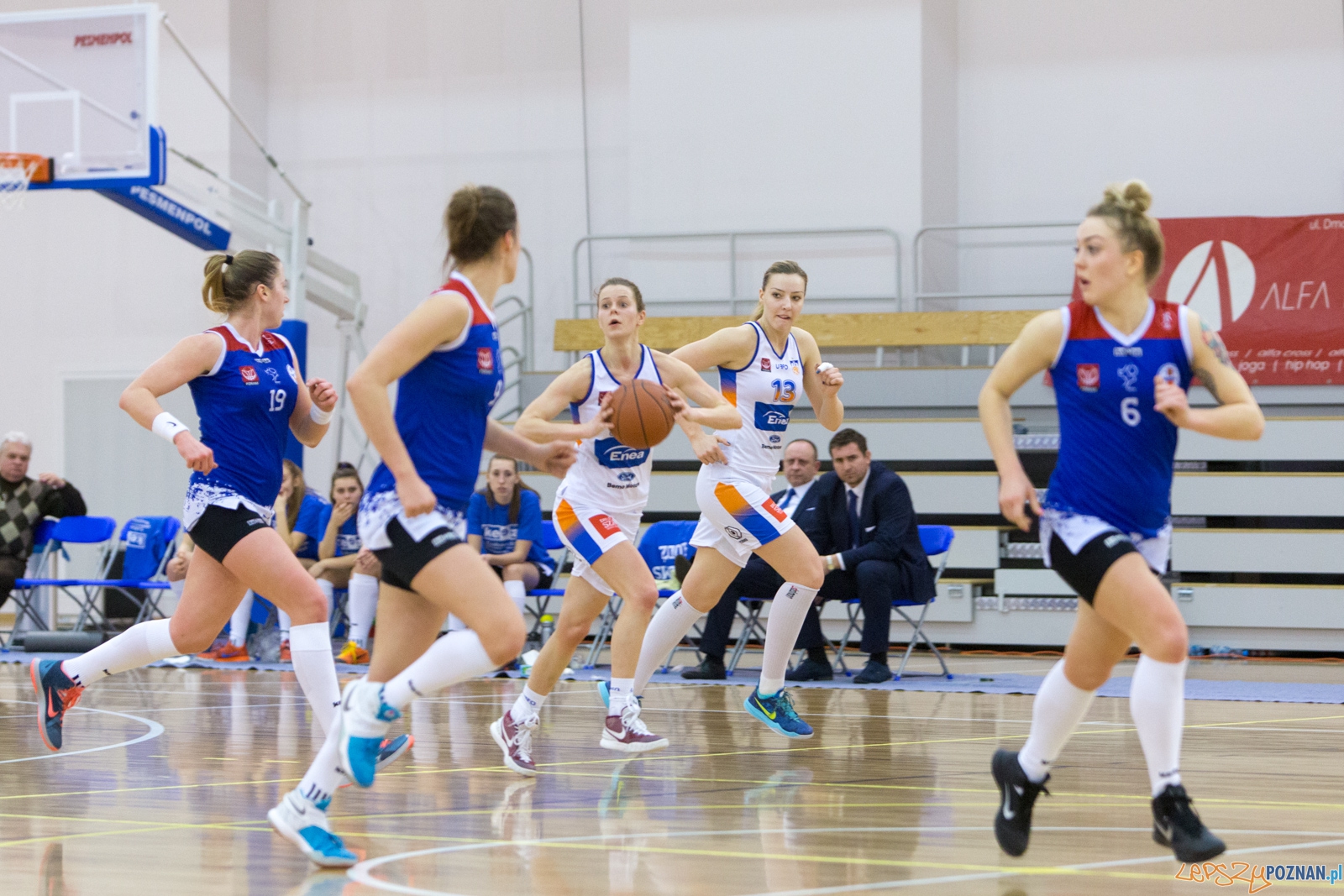 Enea AZS Poznań – ŁKS SMS Łódź Foto: lepszyPOZNAN.pl / Piotr Rychter Enea AZS Poznań – ŁKS SMS Łódź Foto: lepszyPOZNAN.pl / Piotr Rychter