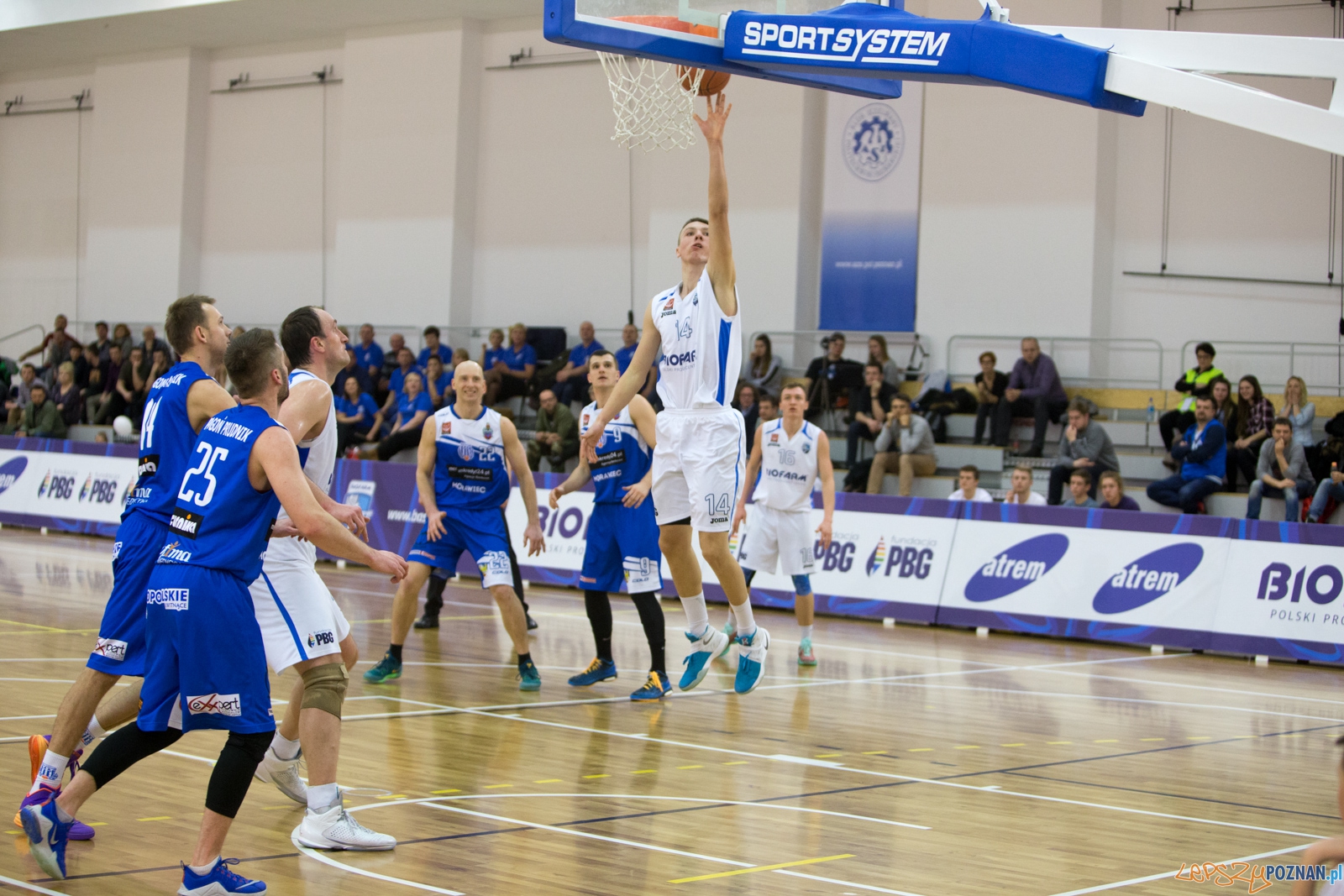 1 Liga Mężczyzn: Biofarm Basket Poznań - Meritumkredyt Pogoń Foto: lepszyPOZNAN.pl / Piotr Rychter 1 Liga Mężczyzn: Biofarm Basket Poznań - Meritumkredyt Pogoń Foto: lepszyPOZNAN.pl / Piotr Rychter