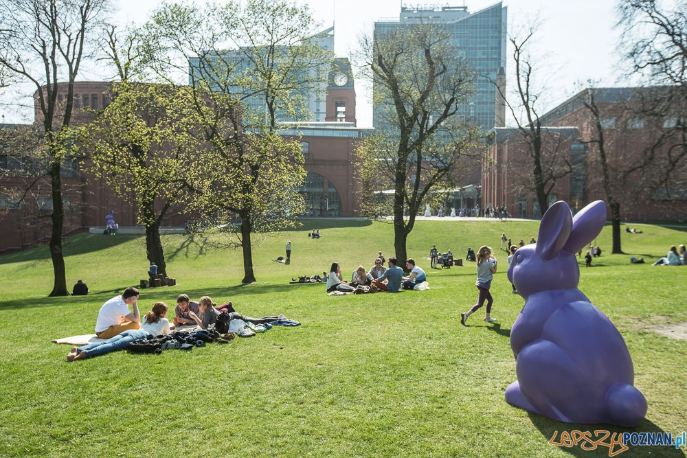 Wielkanoc 2016 w Starym Browarze, fot. J. Wittchen - 1 Foto: Jakub Wittchen Wielkanoc 2016 w Starym Browarze, fot. J. Wittchen - 1 Foto: Jakub Wittchen