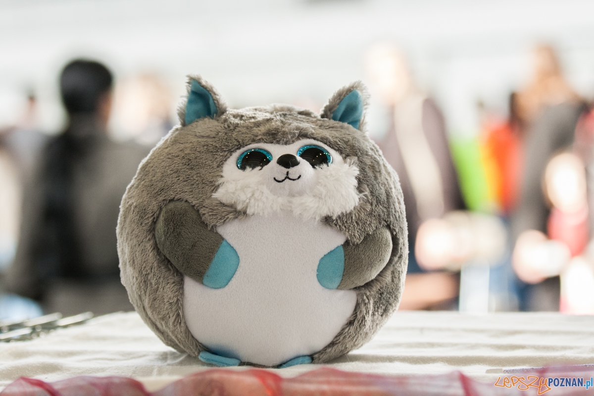 Wystawa kotów rasowych (20.02.2016) MTP Foto: © lepszyPOZNAN.pl / Karolina Kiraga Wystawa kotów rasowych (20.02.2016) MTP Foto: © lepszyPOZNAN.pl / Karolina Kiraga