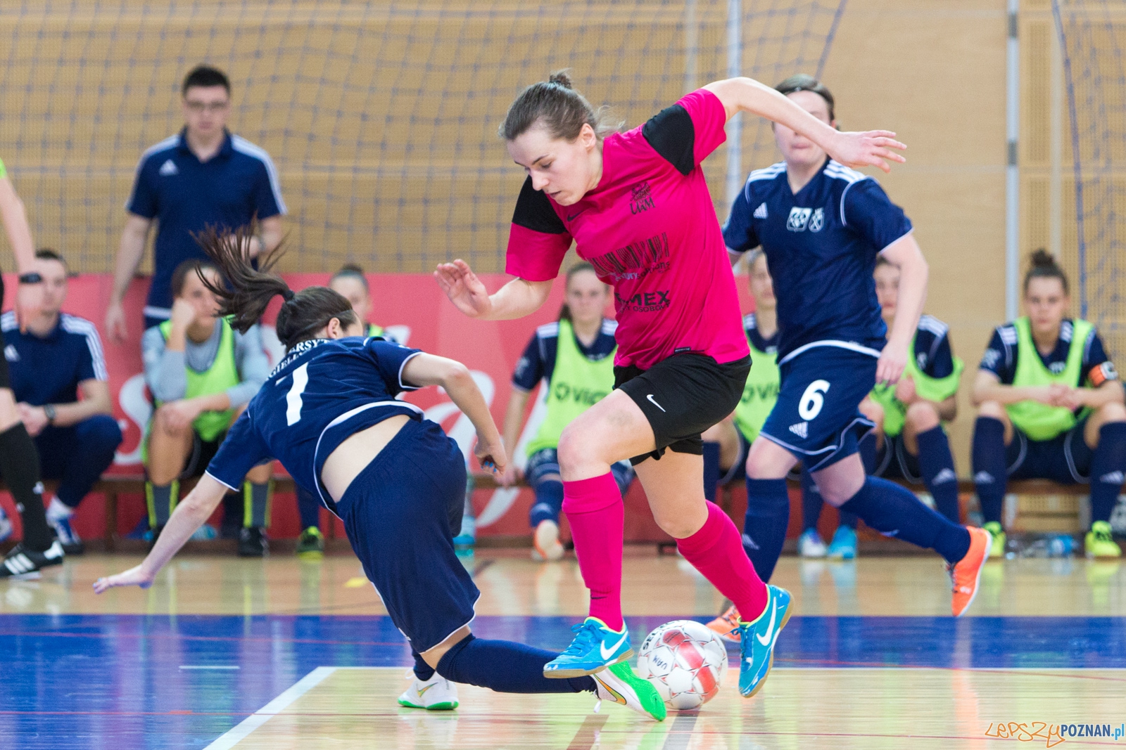Finał Ekstraklasy: AZS UAM Poznań - UJ Kraków Foto: lepszyPOZNAN.pl / Piotr Rychter Finał Ekstraklasy: AZS UAM Poznań - UJ Kraków Foto: lepszyPOZNAN.pl / Piotr Rychter