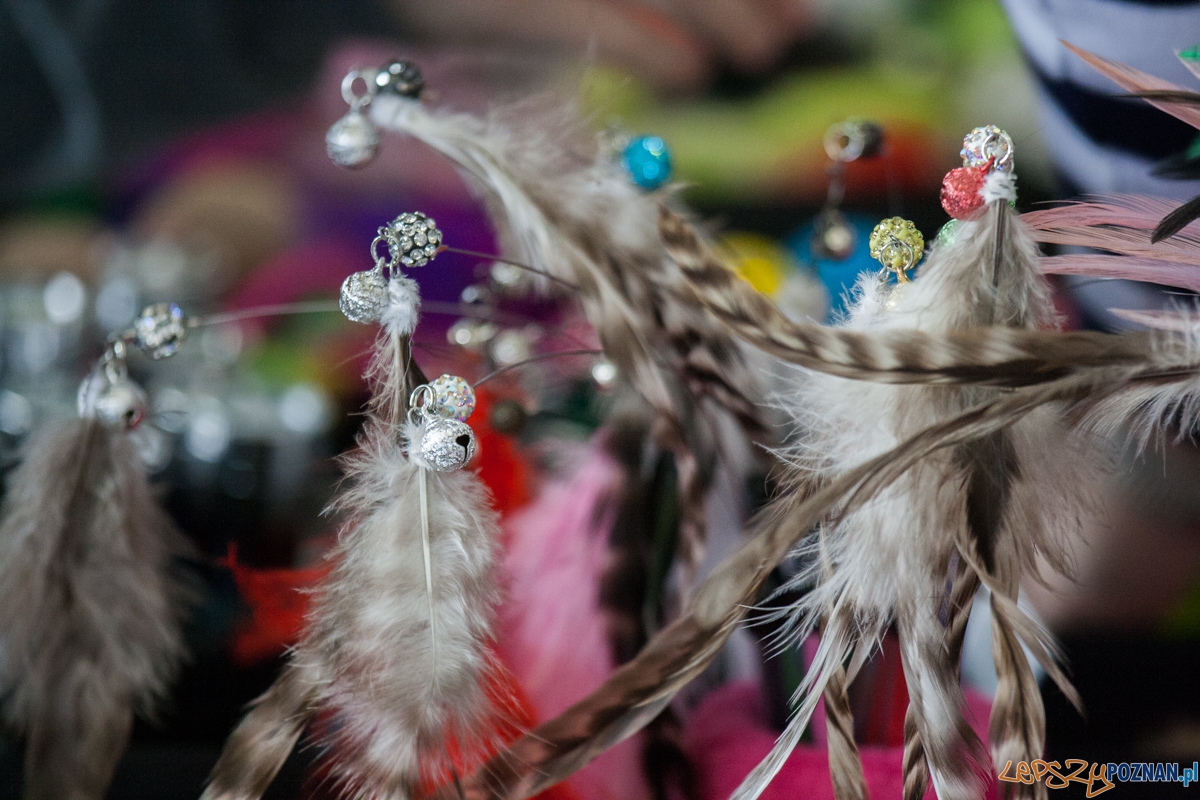 Wystawa kotów rasowych (20.02.2016) MTP Foto: © lepszyPOZNAN.pl / Karolina Kiraga Wystawa kotów rasowych (20.02.2016) MTP Foto: © lepszyPOZNAN.pl / Karolina Kiraga