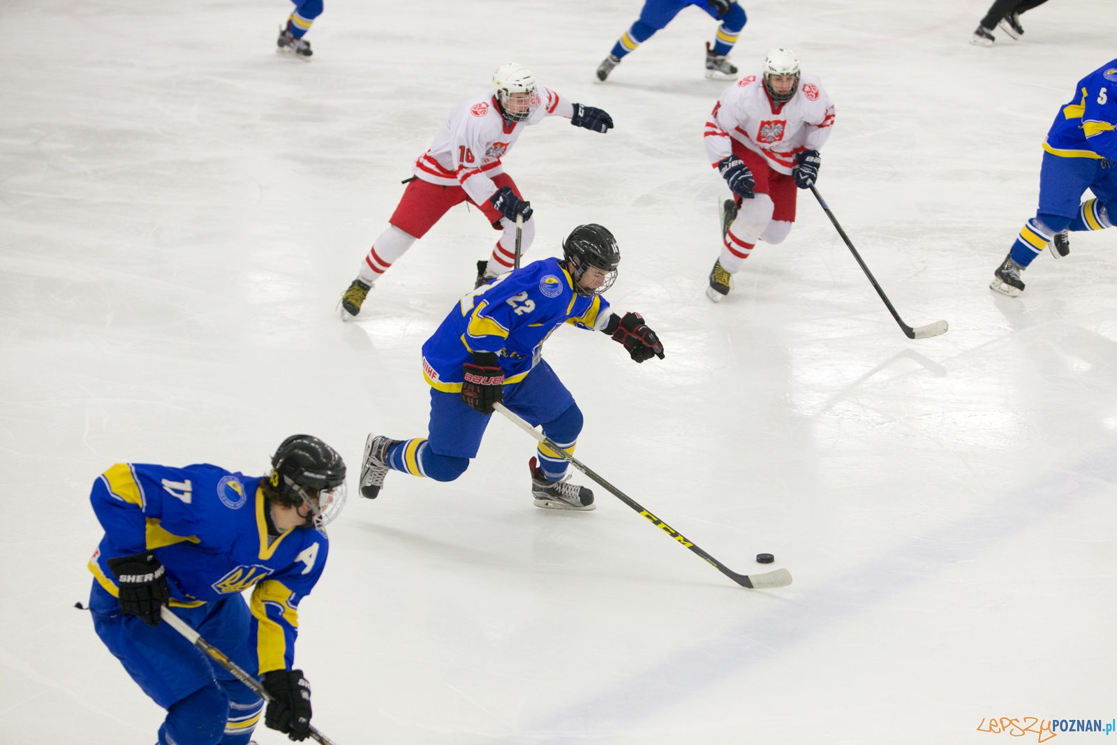 Międzynarodowy turniej hokeja na lodzie U18 (Polska - Ukraina) Foto: lepszyPOZNAN.pl / Piotr Rychter Międzynarodowy turniej hokeja na lodzie U18 (Polska - Ukraina) Foto: lepszyPOZNAN.pl / Piotr Rychter