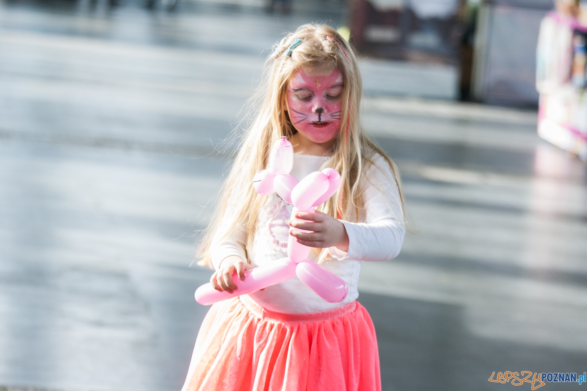 Wystawa kotów rasowych (20.02.2016) MTP Foto: © lepszyPOZNAN.pl / Karolina Kiraga Wystawa kotów rasowych (20.02.2016) MTP Foto: © lepszyPOZNAN.pl / Karolina Kiraga