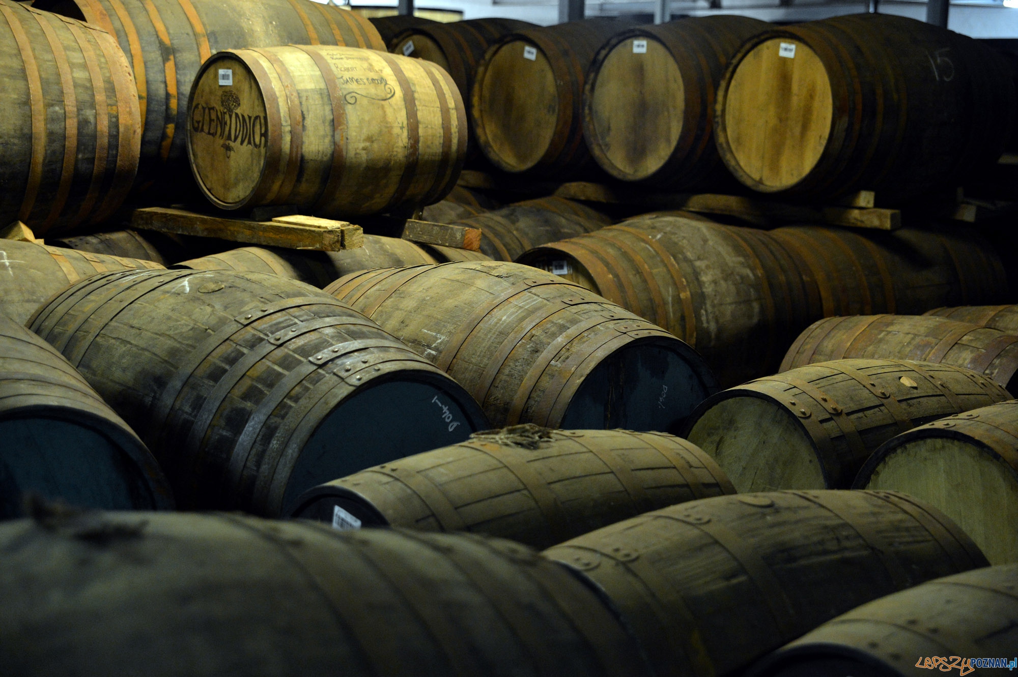 Glenfiddich Foto: COLIN HAMPDEN-WHITE Glenfiddich Foto: COLIN HAMPDEN-WHITE