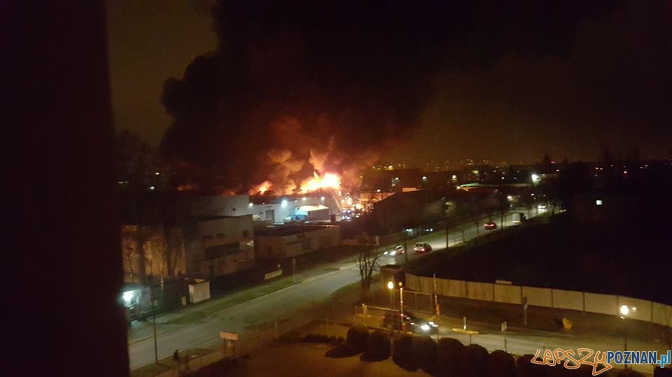 Pożar przy Smoluchowskiego Foto: OSP Luboń Pożar przy Smoluchowskiego Foto: OSP Luboń
