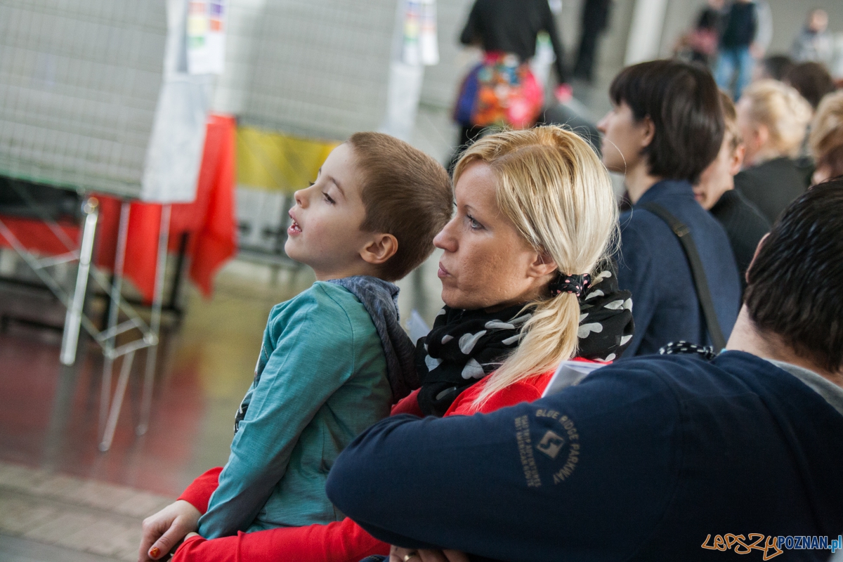 Wystawa kotów rasowych (20.02.2016) MTP Foto: © lepszyPOZNAN.pl / Karolina Kiraga Wystawa kotów rasowych (20.02.2016) MTP Foto: © lepszyPOZNAN.pl / Karolina Kiraga