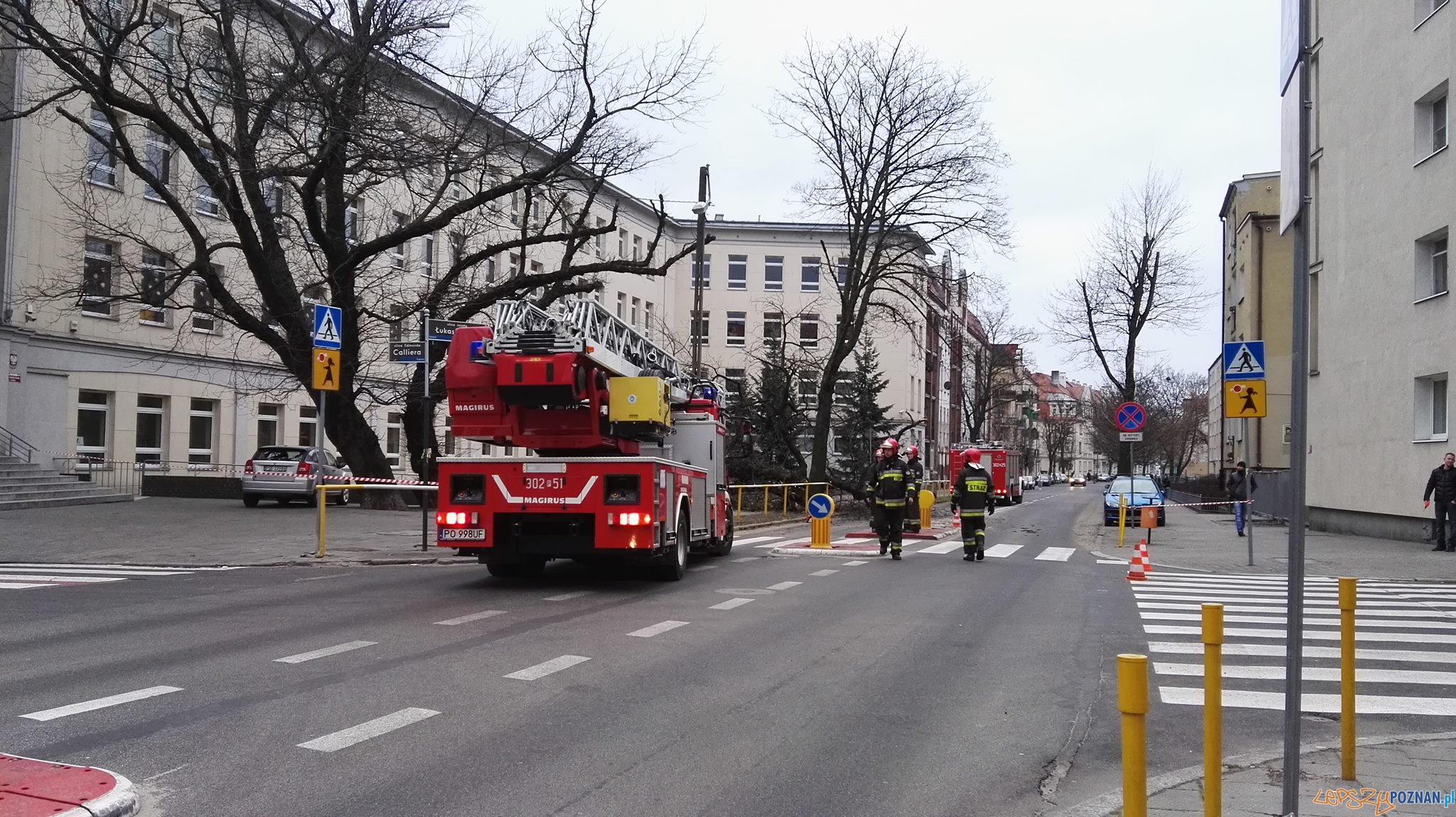 Runęło drzewo na Łukaszewicza Foto: Tamara Tyrańska-Szczęsny Runęło drzewo na Łukaszewicza Foto: Tamara Tyrańska-Szczęsny