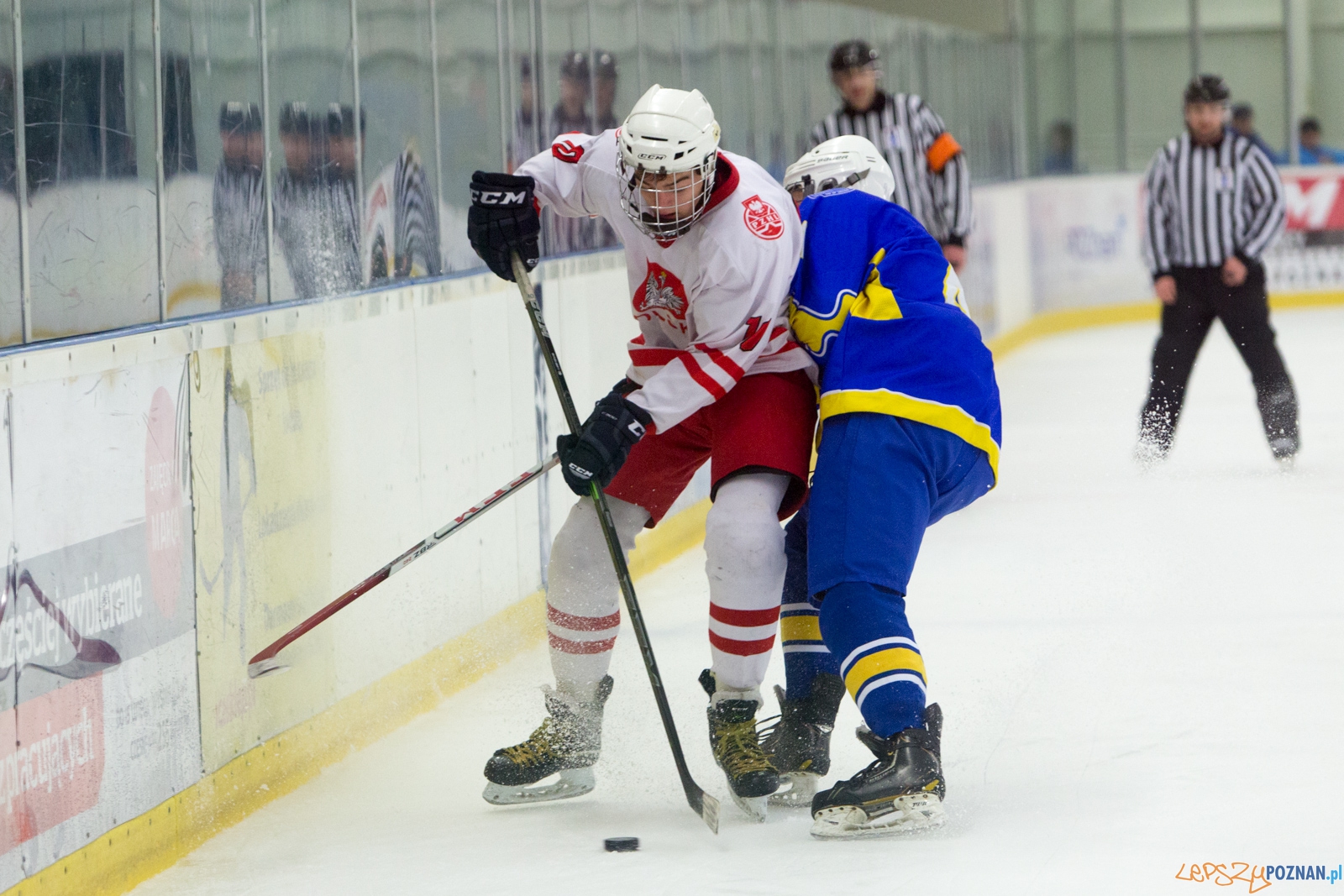 Międzynarodowy turniej hokeja na lodzie U18 (Polska - Ukraina) Foto: lepszyPOZNAN.pl / Piotr Rychter Międzynarodowy turniej hokeja na lodzie U18 (Polska - Ukraina) Foto: lepszyPOZNAN.pl / Piotr Rychter