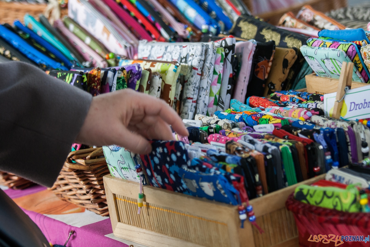 Wystawa kotów rasowych (20.02.2016) MTP Foto: © lepszyPOZNAN.pl / Karolina Kiraga Wystawa kotów rasowych (20.02.2016) MTP Foto: © lepszyPOZNAN.pl / Karolina Kiraga