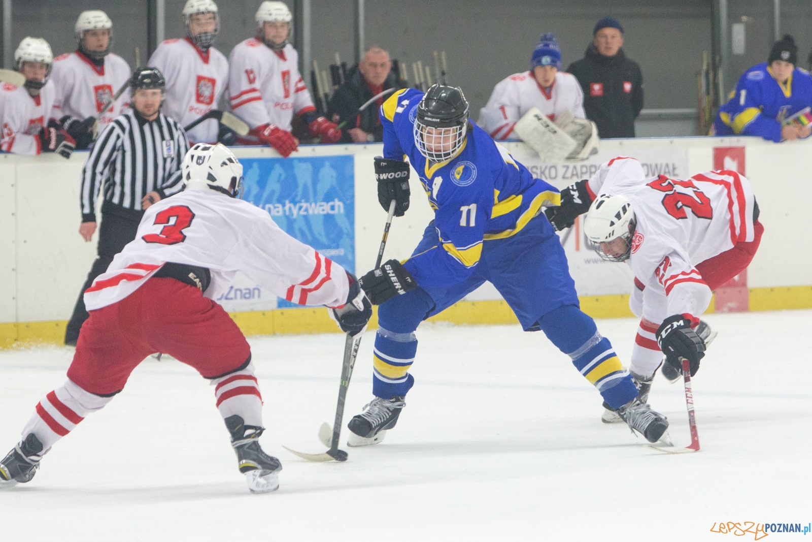 Międzynarodowy turniej hokeja na lodzie U18 (Polska - Ukraina) Foto: lepszyPOZNAN.pl / Piotr Rychter Międzynarodowy turniej hokeja na lodzie U18 (Polska - Ukraina) Foto: lepszyPOZNAN.pl / Piotr Rychter