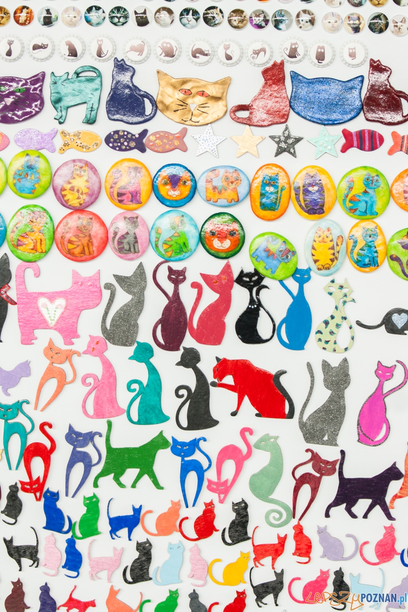 Wystawa kotów rasowych (20.02.2016) MTP Foto: © lepszyPOZNAN.pl / Karolina Kiraga Wystawa kotów rasowych (20.02.2016) MTP Foto: © lepszyPOZNAN.pl / Karolina Kiraga