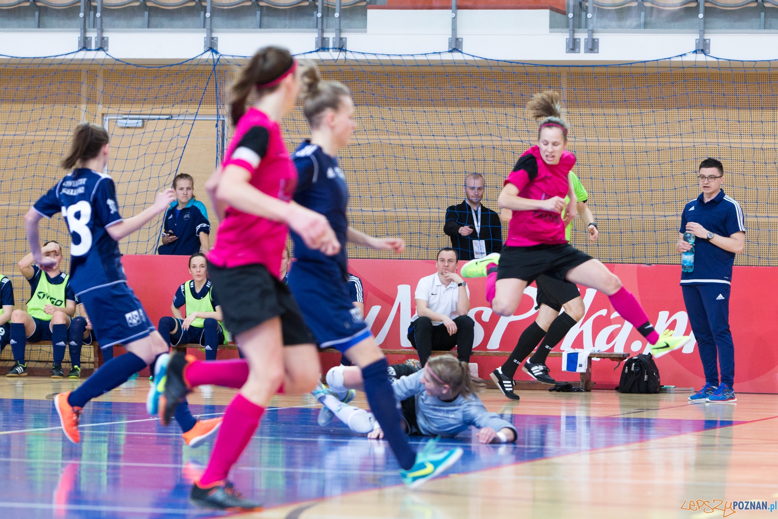 Finał Ekstraklasy: AZS UAM Poznań - UJ Kraków Foto: lepszyPOZNAN.pl / Piotr Rychter Finał Ekstraklasy: AZS UAM Poznań - UJ Kraków Foto: lepszyPOZNAN.pl / Piotr Rychter