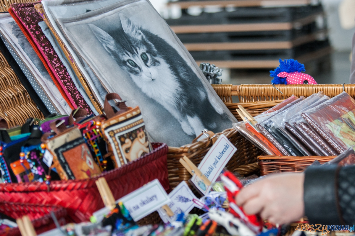Wystawa kotów rasowych (20.02.2016) MTP Foto: © lepszyPOZNAN.pl / Karolina Kiraga Wystawa kotów rasowych (20.02.2016) MTP Foto: © lepszyPOZNAN.pl / Karolina Kiraga