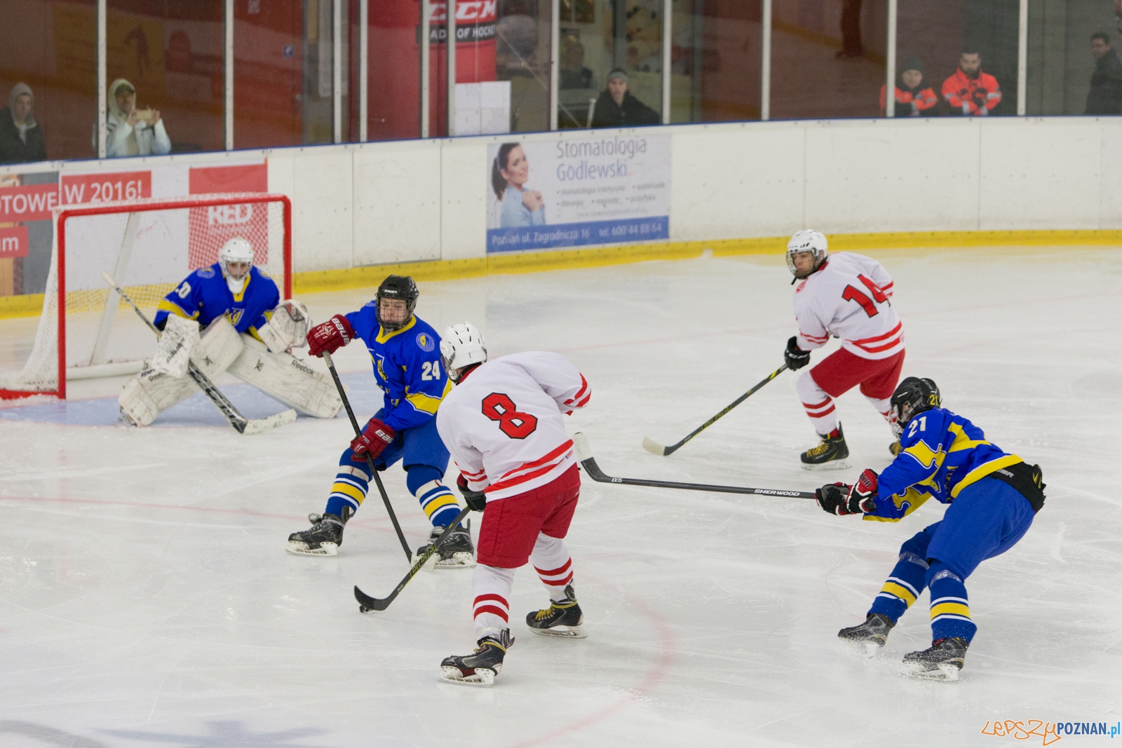 Międzynarodowy turniej hokeja na lodzie U18 (Polska - Ukraina) Foto: lepszyPOZNAN.pl / Piotr Rychter Międzynarodowy turniej hokeja na lodzie U18 (Polska - Ukraina) Foto: lepszyPOZNAN.pl / Piotr Rychter