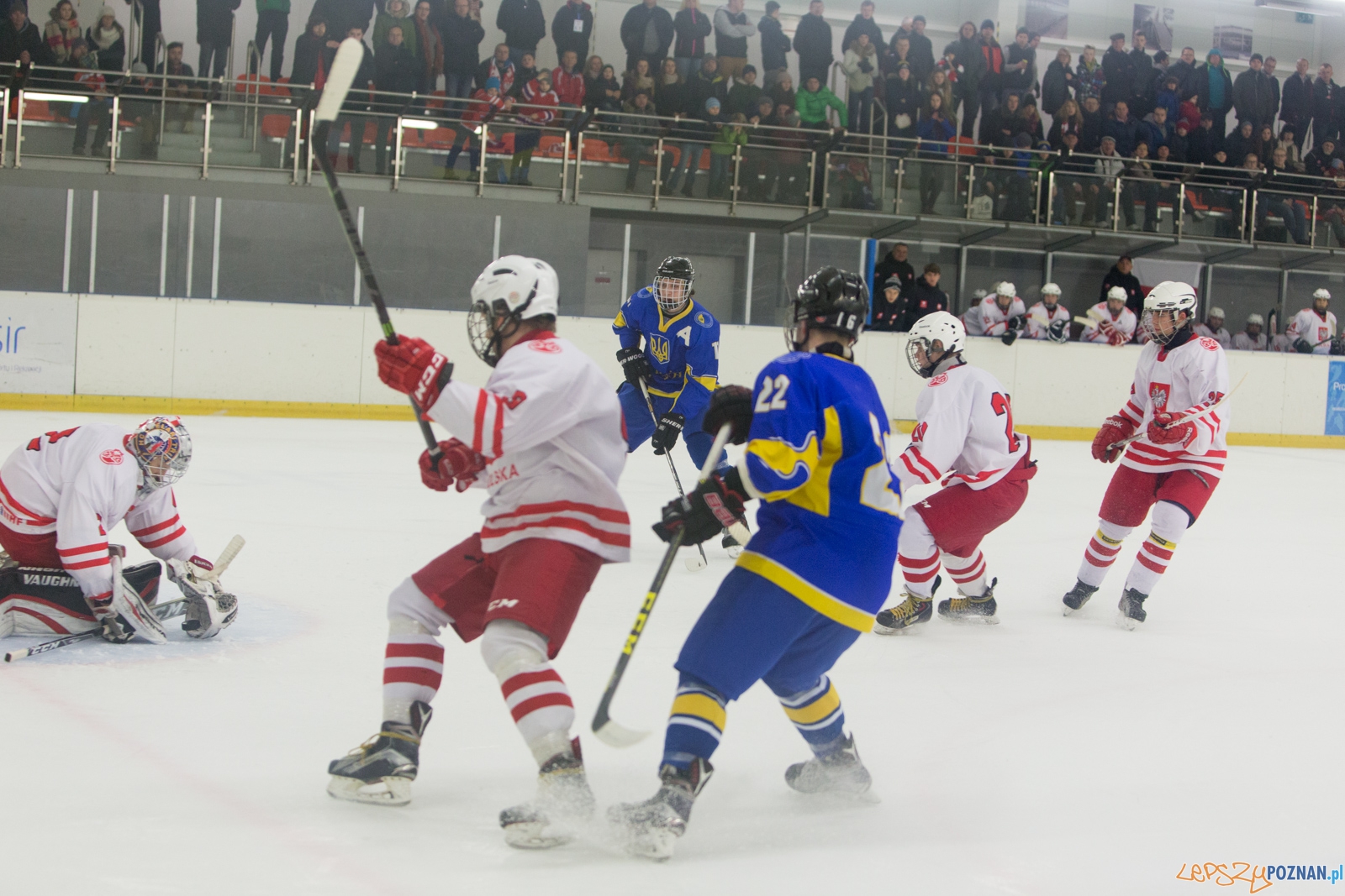 Międzynarodowy turniej hokeja na lodzie U18 (Polska - Ukraina) Foto: lepszyPOZNAN.pl / Piotr Rychter Międzynarodowy turniej hokeja na lodzie U18 (Polska - Ukraina) Foto: lepszyPOZNAN.pl / Piotr Rychter