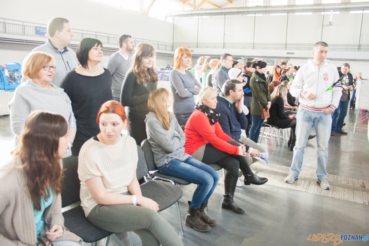 Wystawa kotów rasowych (20.02.2016) MTP Foto: © lepszyPOZNAN.pl / Karolina Kiraga Wystawa kotów rasowych (20.02.2016) MTP Foto: © lepszyPOZNAN.pl / Karolina Kiraga