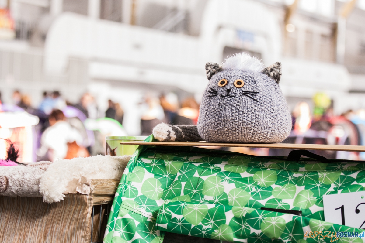 Wystawa kotów rasowych (20.02.2016) MTP Foto: © lepszyPOZNAN.pl / Karolina Kiraga Wystawa kotów rasowych (20.02.2016) MTP Foto: © lepszyPOZNAN.pl / Karolina Kiraga