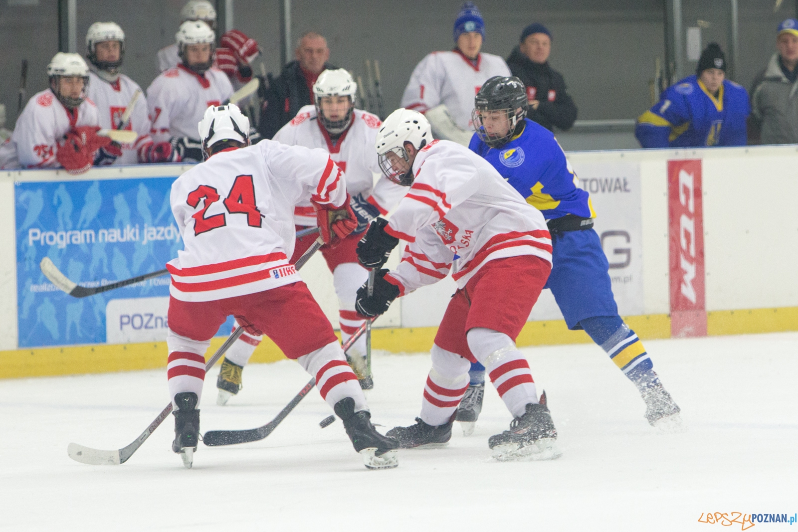 Międzynarodowy turniej hokeja na lodzie U18 (Polska - Ukraina) Foto: lepszyPOZNAN.pl / Piotr Rychter Międzynarodowy turniej hokeja na lodzie U18 (Polska - Ukraina) Foto: lepszyPOZNAN.pl / Piotr Rychter