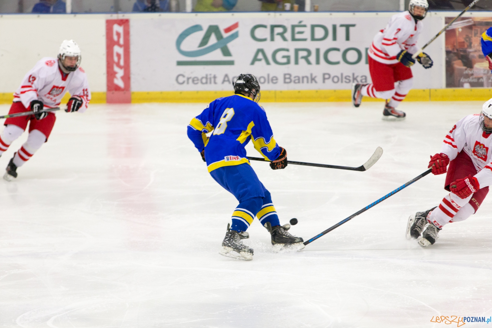 Międzynarodowy turniej hokeja na lodzie U18 (Polska - Ukraina) Foto: lepszyPOZNAN.pl / Piotr Rychter Międzynarodowy turniej hokeja na lodzie U18 (Polska - Ukraina) Foto: lepszyPOZNAN.pl / Piotr Rychter