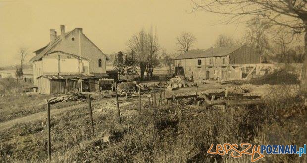 Budowa jeziora na Malcie 17-10-1948 Foto: POSiR Budowa jeziora na Malcie 17-10-1948 Foto: POSiR
