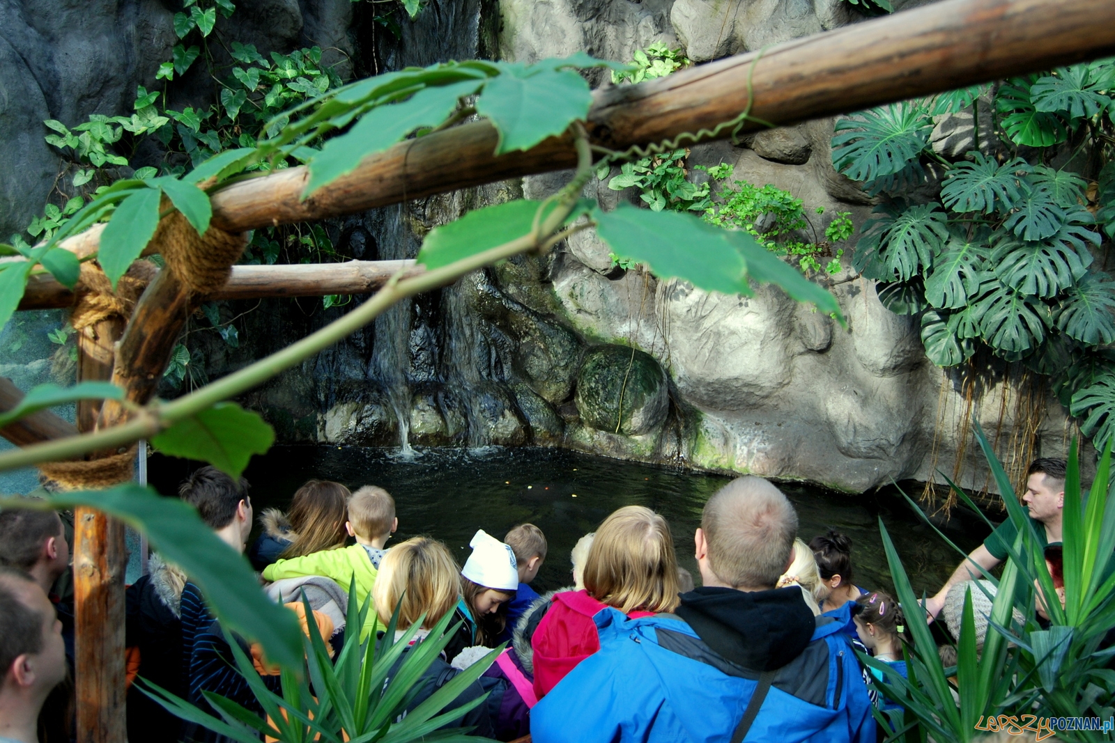 Udane spotkanie ze... smokami! Foto: ZOO Poznań Udane spotkanie ze... smokami! Foto: ZOO Poznań