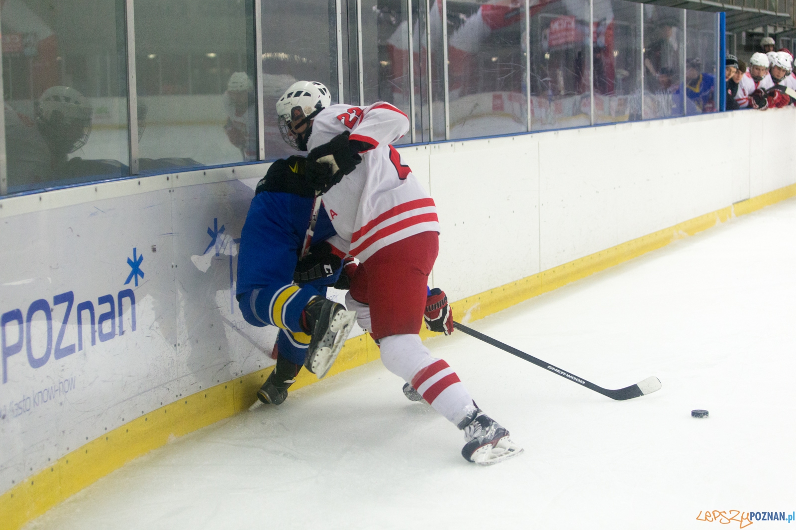 Międzynarodowy turniej hokeja na lodzie U18 (Polska - Ukraina) Foto: lepszyPOZNAN.pl / Piotr Rychter Międzynarodowy turniej hokeja na lodzie U18 (Polska - Ukraina) Foto: lepszyPOZNAN.pl / Piotr Rychter
