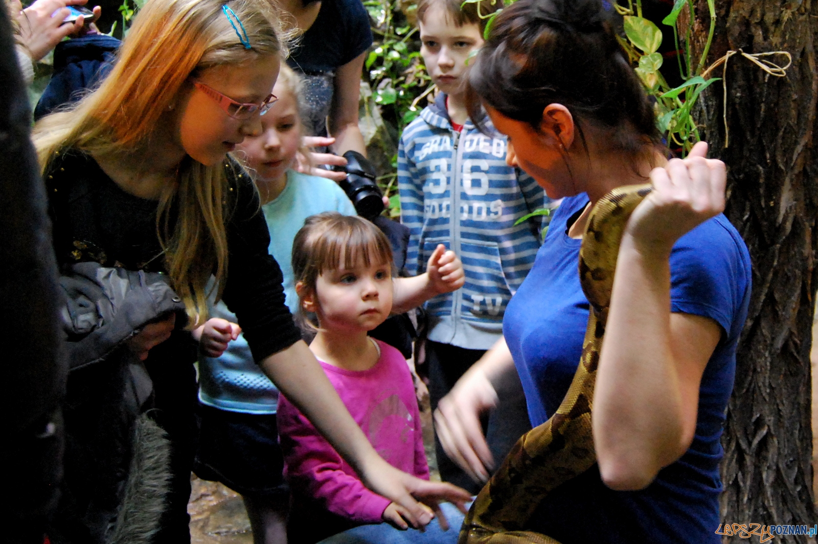 Udane spotkanie ze... smokami! Foto: ZOO Poznań Udane spotkanie ze... smokami! Foto: ZOO Poznań