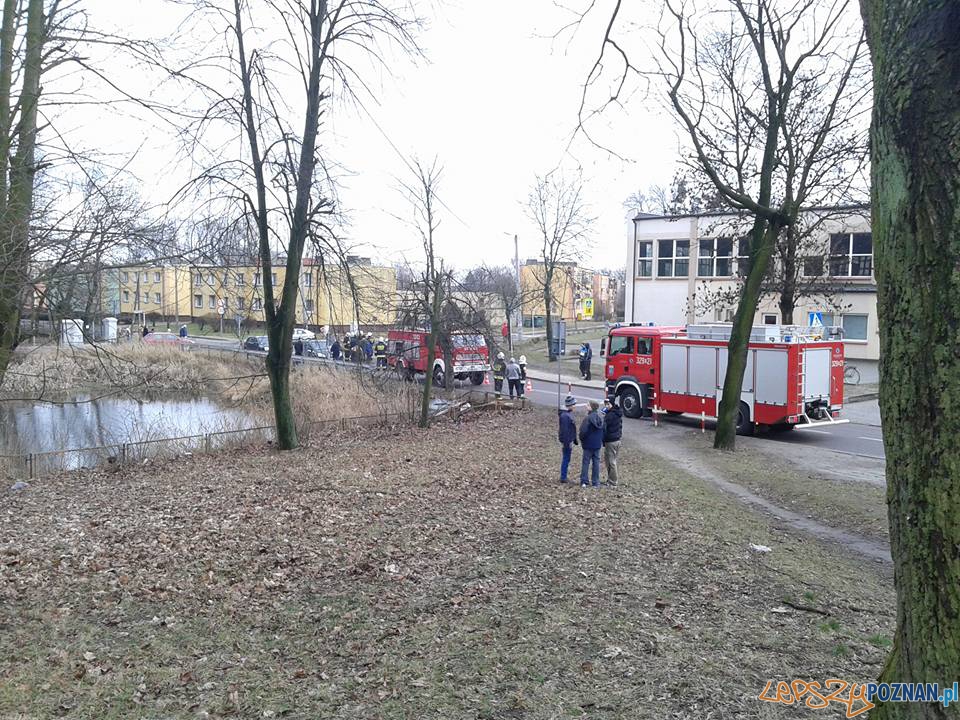 Samochód (prawie) w stawie Foto: OSP Gułtowy Samochód (prawie) w stawie Foto: OSP Gułtowy