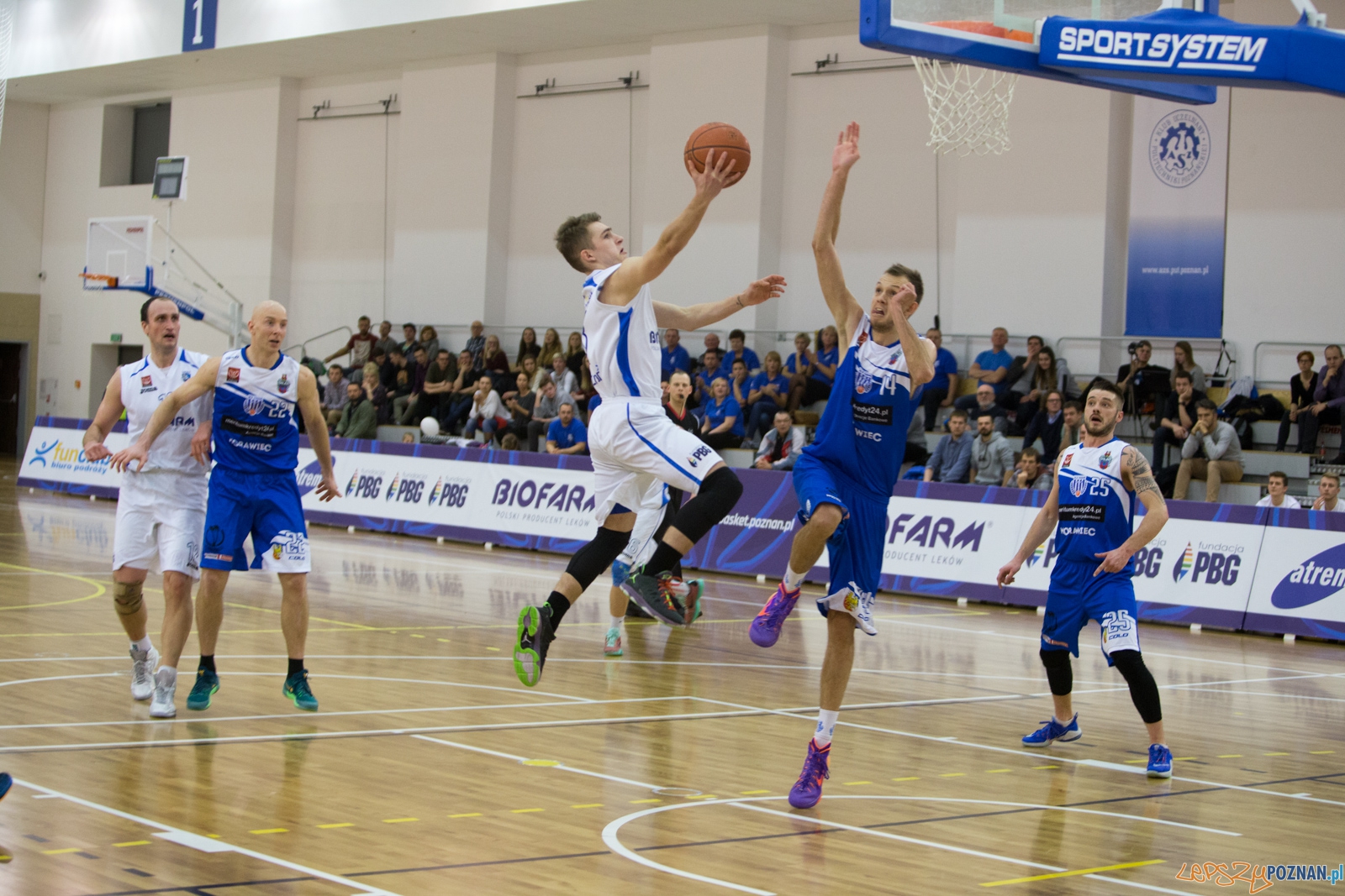 1 Liga Mężczyzn: Biofarm Basket Poznań - Meritumkredyt Pogoń Foto: lepszyPOZNAN.pl / Piotr Rychter 1 Liga Mężczyzn: Biofarm Basket Poznań - Meritumkredyt Pogoń Foto: lepszyPOZNAN.pl / Piotr Rychter