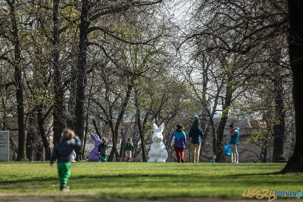 Wielkanoc 2016 w Starym Browarze, fot. J. Wittchen - 4 Foto: Jakub Wittchen Wielkanoc 2016 w Starym Browarze, fot. J. Wittchen - 4 Foto: Jakub Wittchen