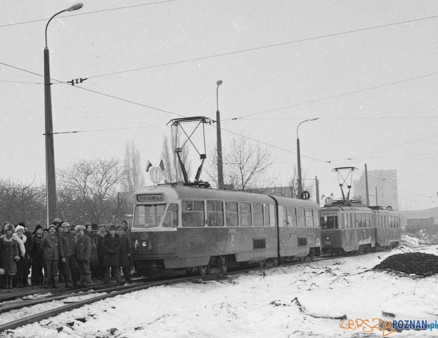 Otwarcie trasy na Winiary Foto: Marian Strenk / MPK Otwarcie trasy na Winiary Foto: Marian Strenk / MPK