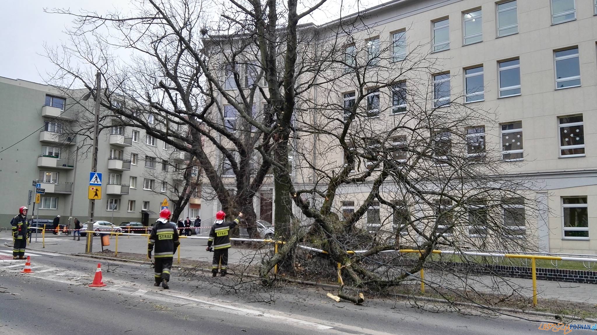 Runęło drzewo na Łukaszewicza Foto: Tamara Tyrańska-Szczęsny Runęło drzewo na Łukaszewicza Foto: Tamara Tyrańska-Szczęsny