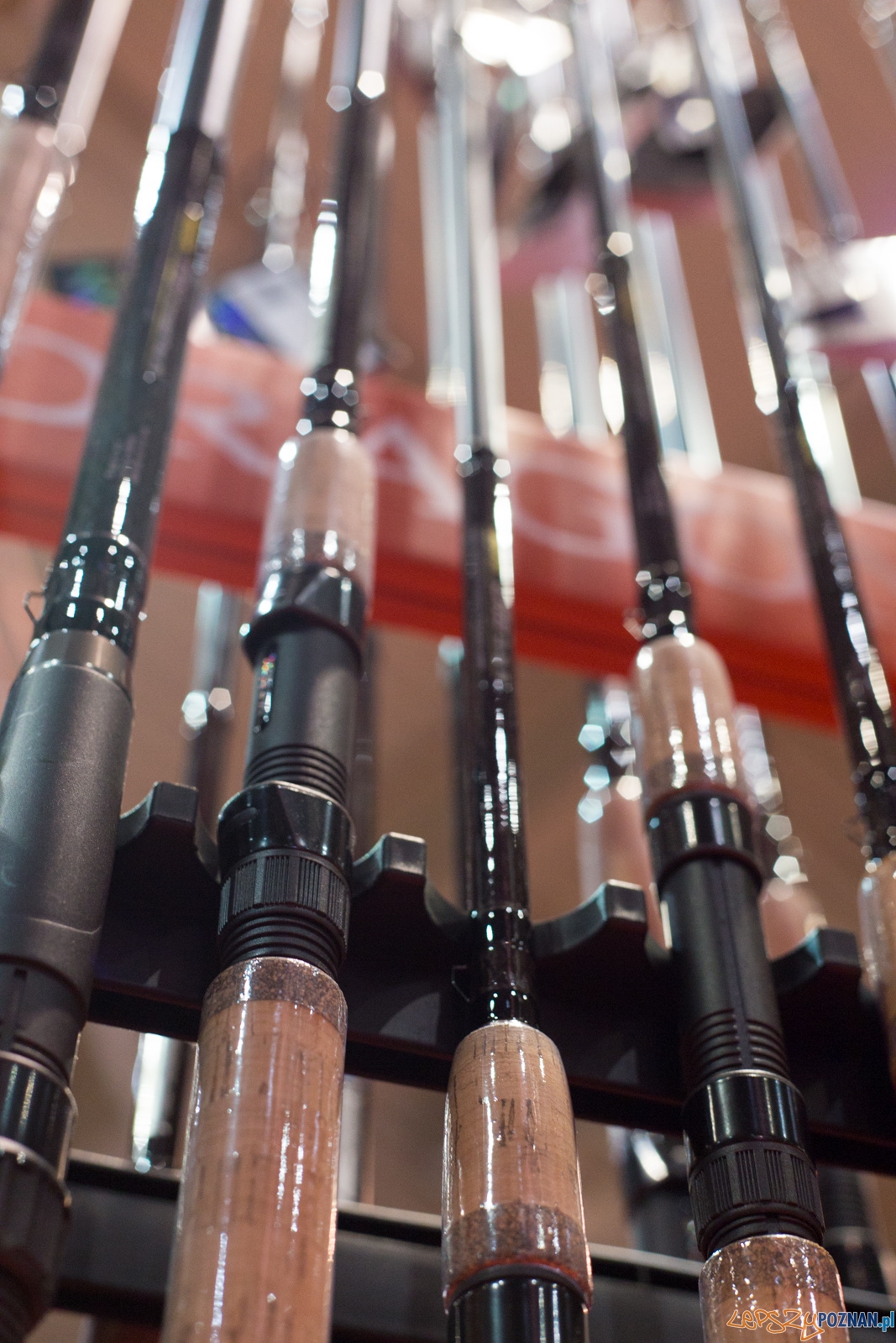 Targi Rybomania Foto: lepszyPOZNAN.pl / Piotr Rychter Targi Rybomania Foto: lepszyPOZNAN.pl / Piotr Rychter