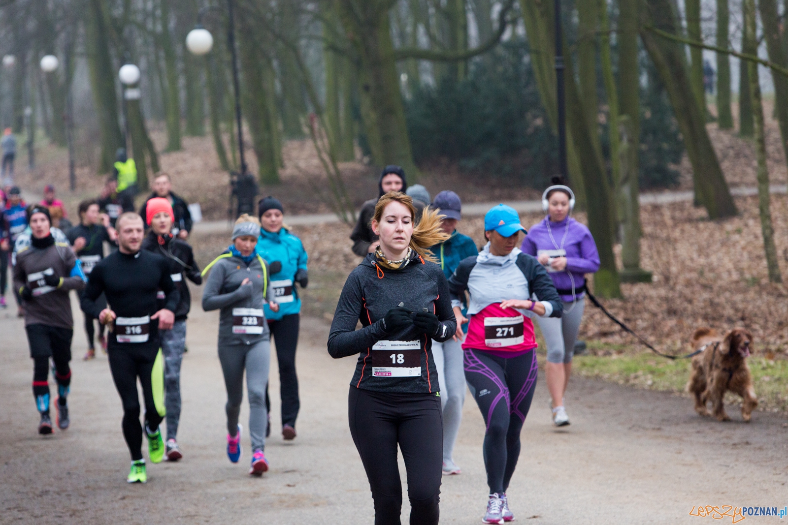 I Bieg Czekoladowy Foto: lepszyPOZNAN.pl / Piotr Rychter I Bieg Czekoladowy Foto: lepszyPOZNAN.pl / Piotr Rychter